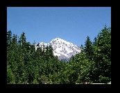 Magnificent Mount Rainier